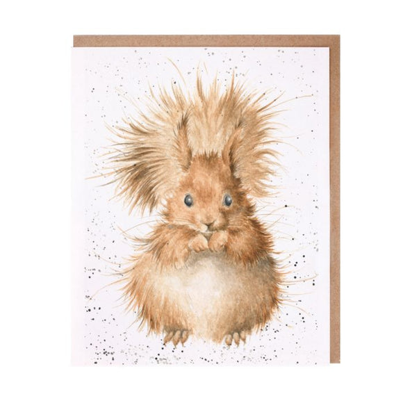 All Occasion Card - Redhead Squirrel