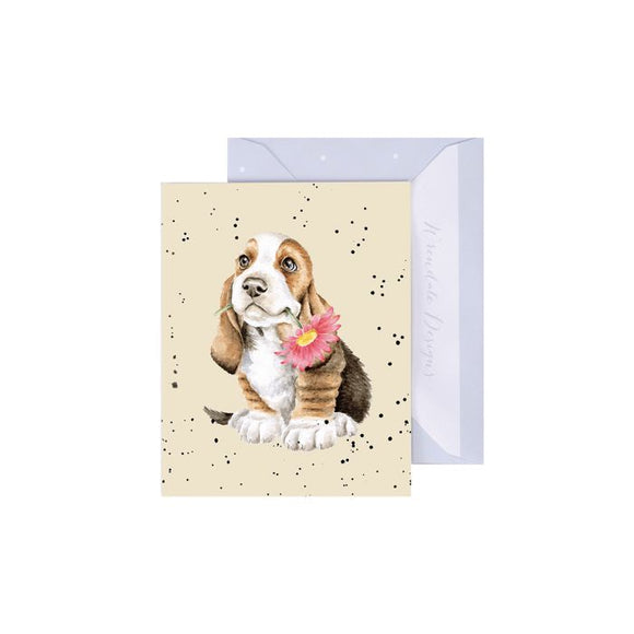 Gift Enclosure Card - Just For You Bassett Hound