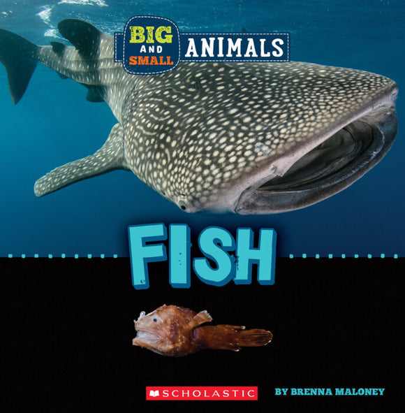 Big and Small: Fish Book