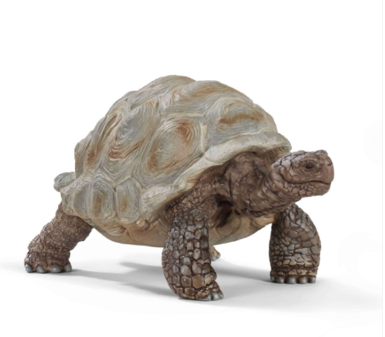 Schleich 14824 Giant Tortoise