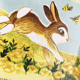 A Little Bunny Book