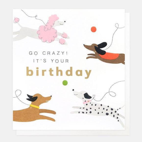 Birthday Card Crazy Dogs