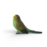 Schleich 14939 Budgie