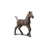 Schleich 81460 Collectible Foal Darcy Series 1