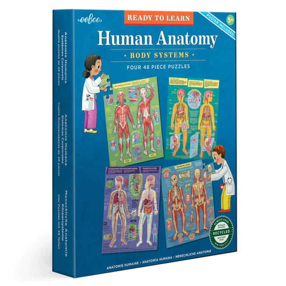 eeboo Ready to Learn - Human Anatomy 4-Puzzle 48 Piece