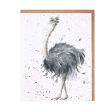 All Occasion Card - 'Birdy' ostrich card