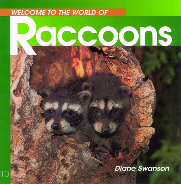 Welcome to the World of Raccoons Book
