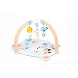 Hape E0074 Snuggle Bear Activity Gym