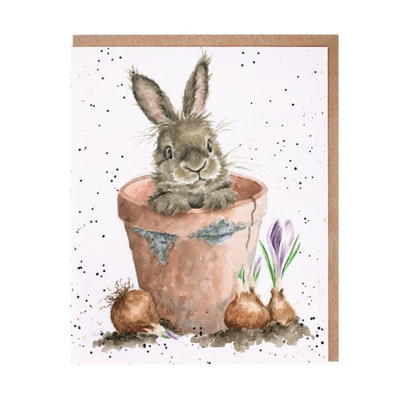 All Occasion Card - The Flower Pot Rabbit
