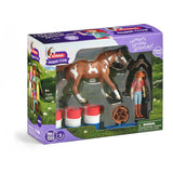 Schleich 42775 Hannah's Western Adventure