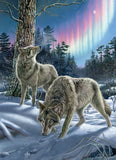 Cobble Hill 500pc Puzzle 45143 Northern Lights