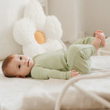 Petit Lem Rib Sleeper Fern