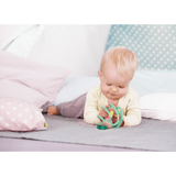 Hape E8500 Apple Grab Toy