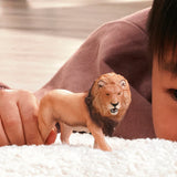 Schleich 14974 African Lion