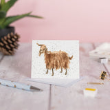 Gift Enclosure Card - 'The Hipster' Goat