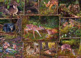 Cobble Hill 350pc Family Puzzle 47049 Into the Woods