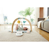 Hape E0074 Snuggle Bear Activity Gym