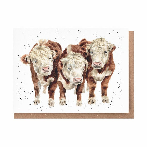 All Occasion Card - 'Paddy, Percy and Pedro' Cow 
