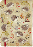 Hedgehogs Journal