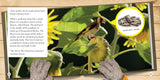 The Case of the Growing Bird Feeder  : A Gumboot Kids Nature Mystery Book