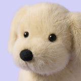 Jellycat Golden Puppy   *Coming Soon