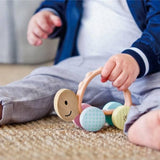 Hape E8516 Turbo Turtle