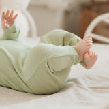 Petit Lem Rib Sleeper Fern