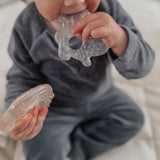 nouka Cooling Nature Teether - Flight, Bird OR Butterfly