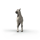 Schleich 14916 Knabstrupper Gelding