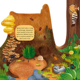 Discovering the Hidden Woodland World Board Book