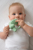 Tikiri Organic Natural Rubber Teether, Rattle & Bath Toy Crocodile