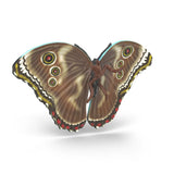 Schleich 42741 Insects Discovery Set