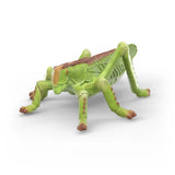 Schleich 42741 Insects Discovery Set