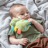 Mary Meyer Taggies Peepers Frog Teether Rattle