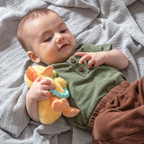 Mary Meyer Taggies Dunkin Duck Teether Rattle