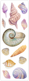 Seashells Sticker Set