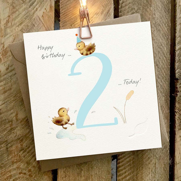 Birthday Card 2yr Ducks