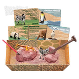 4m 3481 KidzLabs Wild Life Animal Digging Kit