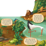 Discovering the World of Nature Along the Riverbank Board Book
