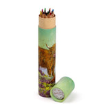 Jan Pashley Highland Coo Cow Large Pencil Pot with 12 Colouring Pencils