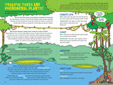100 Questions About The Amazon Rain Forest