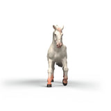 Schleich 14917 Knabstrupper Mare
