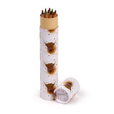 Jan Pashley Highland Coo Cow Large Pencil Pot with 12 Colouring Pencils