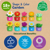 Learning Resources 3610 Shape & Color Garden