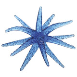 Sticky Star Fish