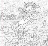 Enchanted Kingdom Adult Coloring Book