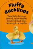 Baby Touch & Feel: Baby Animals Board Book