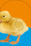 Baby Touch & Feel: Baby Animals Board Book