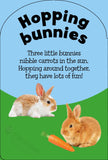 Baby Touch & Feel: Baby Animals Board Book
