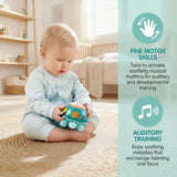 Hape E0140 Twist & Tune Turtle